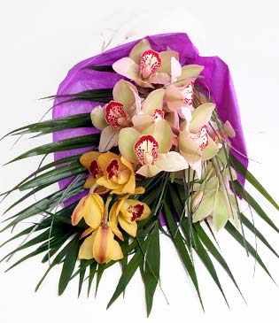  zmir Aliaa ieki maazas  1 adet dal orkide buket halinde sunulmakta